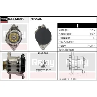 Alternateur REMY RAA14695