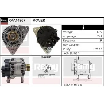 Alternateur REMY RAA14867