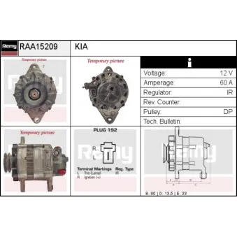 Alternateur REMY RAA15209