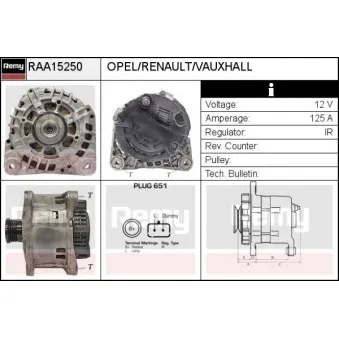 Alternateur REMY RAA15250