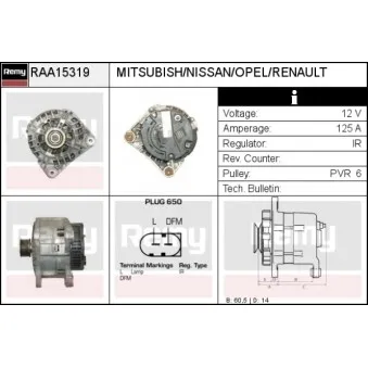 Alternateur REMY RAA15319