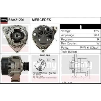Alternateur REMY RAA21291