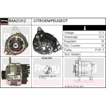Alternateur REMY RAA21312