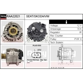 Alternateur REMY RAA22021