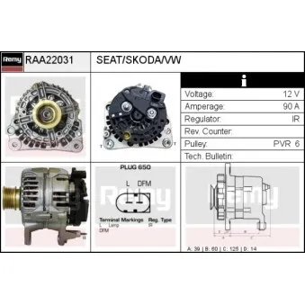 Alternateur REMY RAA22031