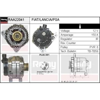 Alternateur REMY RAA22041