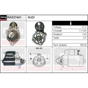 Démarreur REMY RAS37441