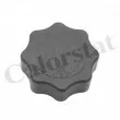 Bouchon, réservoir de liquide de refroidissement CALORSTAT BY VERNET RC0198 - Visuel 1