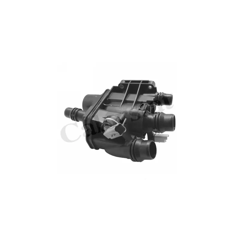 Thermostat d'eau CALORSTAT BY VERNET TE2113.97J