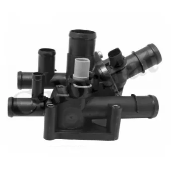 Thermostat d'eau CALORSTAT BY VERNET TE6975.105J