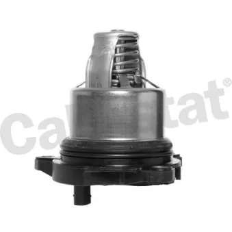 Thermostat d'eau CALORSTAT BY VERNET TE7367.103J