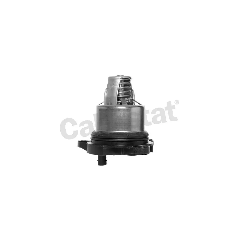 Thermostat d'eau CALORSTAT BY VERNET TE7367.103J