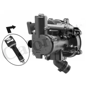 Thermostat d'eau CALORSTAT BY VERNET TFS7195.113J