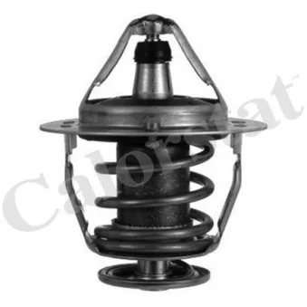 Thermostat d'eau CALORSTAT BY VERNET TH6520.88J