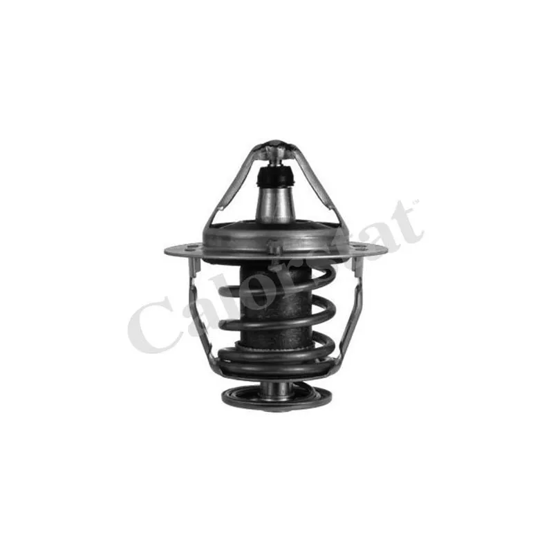 Thermostat d'eau CALORSTAT BY VERNET TH6520.88J