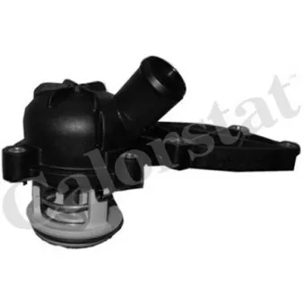 Thermostat d'eau CALORSTAT BY VERNET TH6989.88J