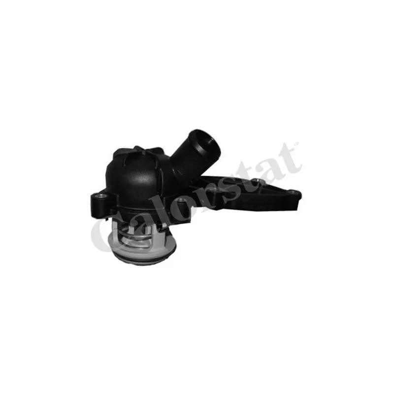 Thermostat d'eau CALORSTAT BY VERNET TH6989.88J