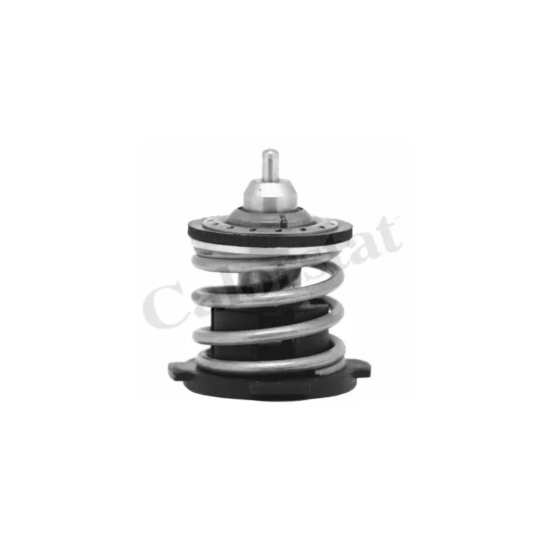 Thermostat d'eau CALORSTAT BY VERNET TH7274.80