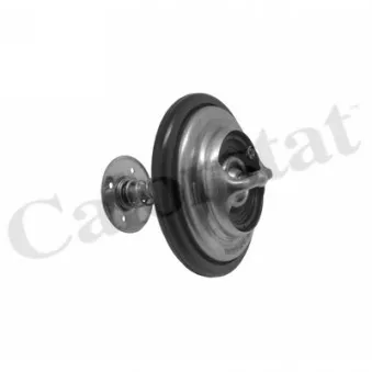 Thermostat d'eau CALORSTAT BY VERNET TH7373.82J