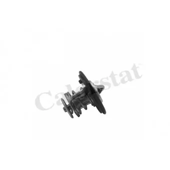 Thermostat d'eau CALORSTAT BY VERNET TH7413.82J