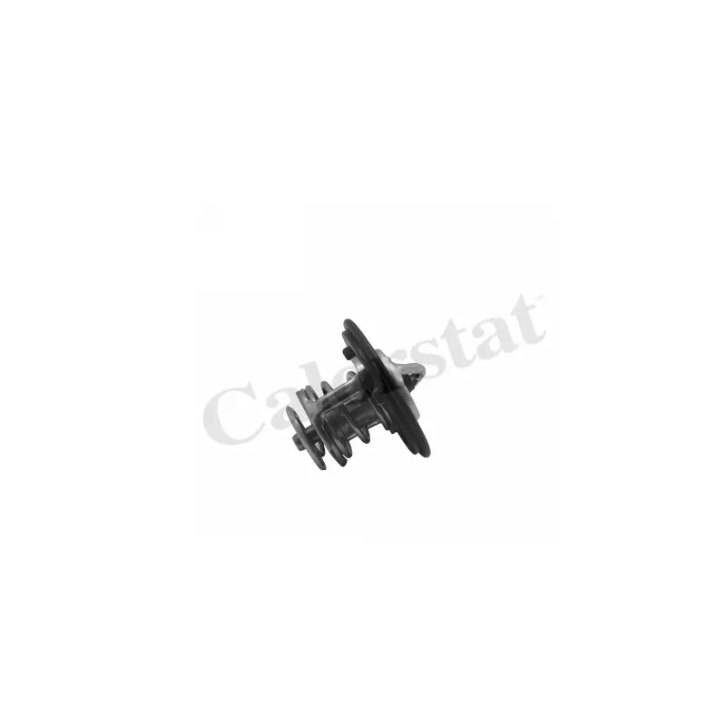Thermostat d'eau CALORSTAT BY VERNET TH7413.82J