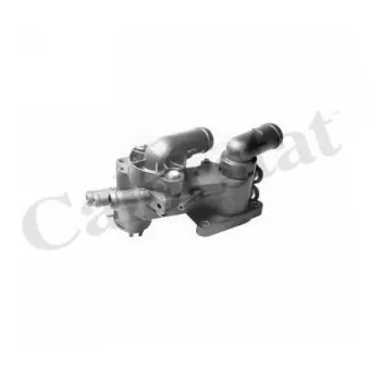 Thermostat d'eau CALORSTAT BY VERNET