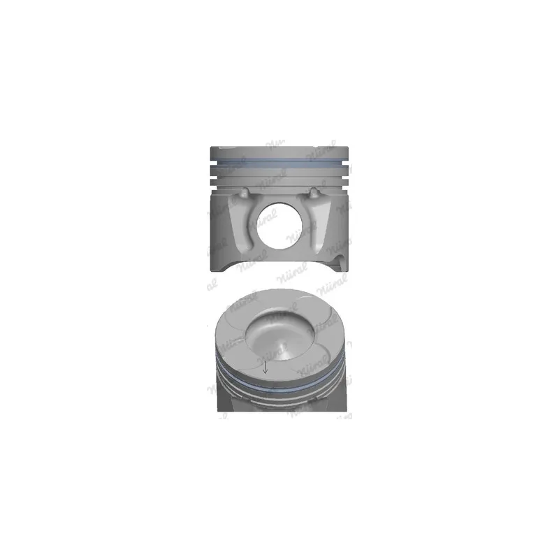Piston NÜRAL 87-137600-00