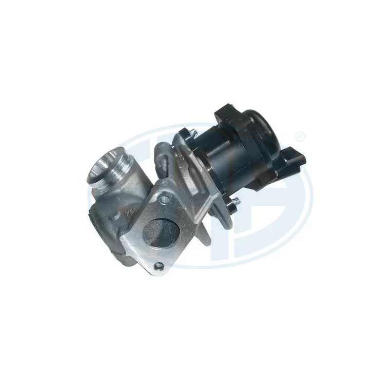 Vanne EGR ERA 555187