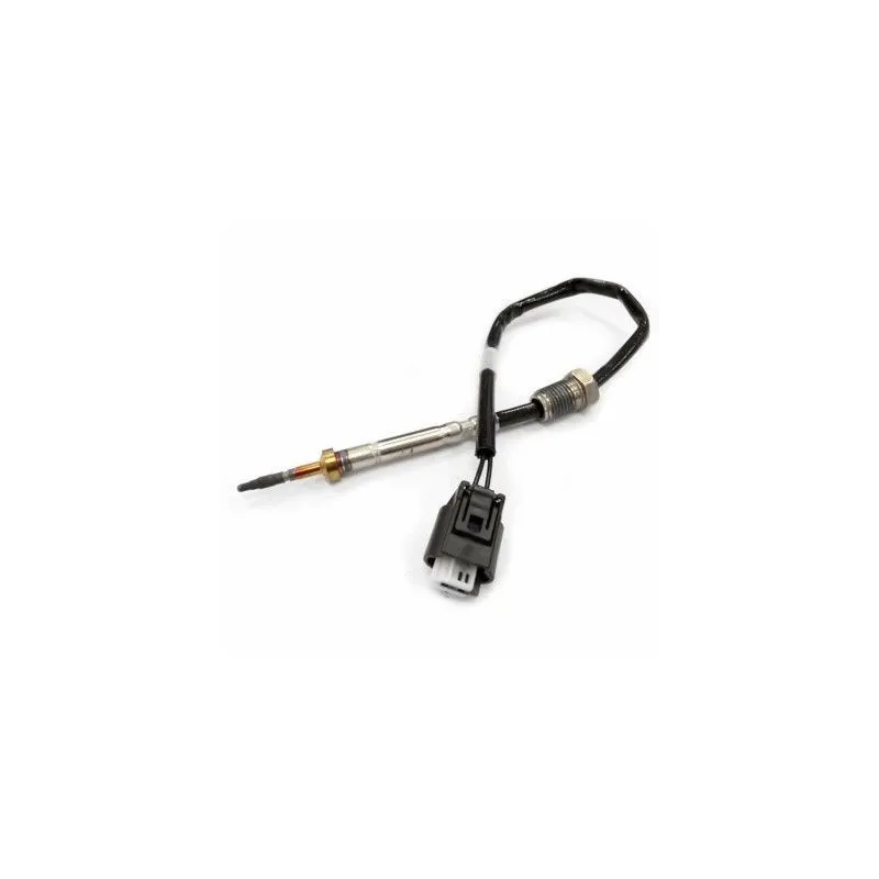 Capteur, température des gaz MEAT & DORIA 12028E