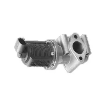 Vanne EGR MEAT & DORIA 88015E