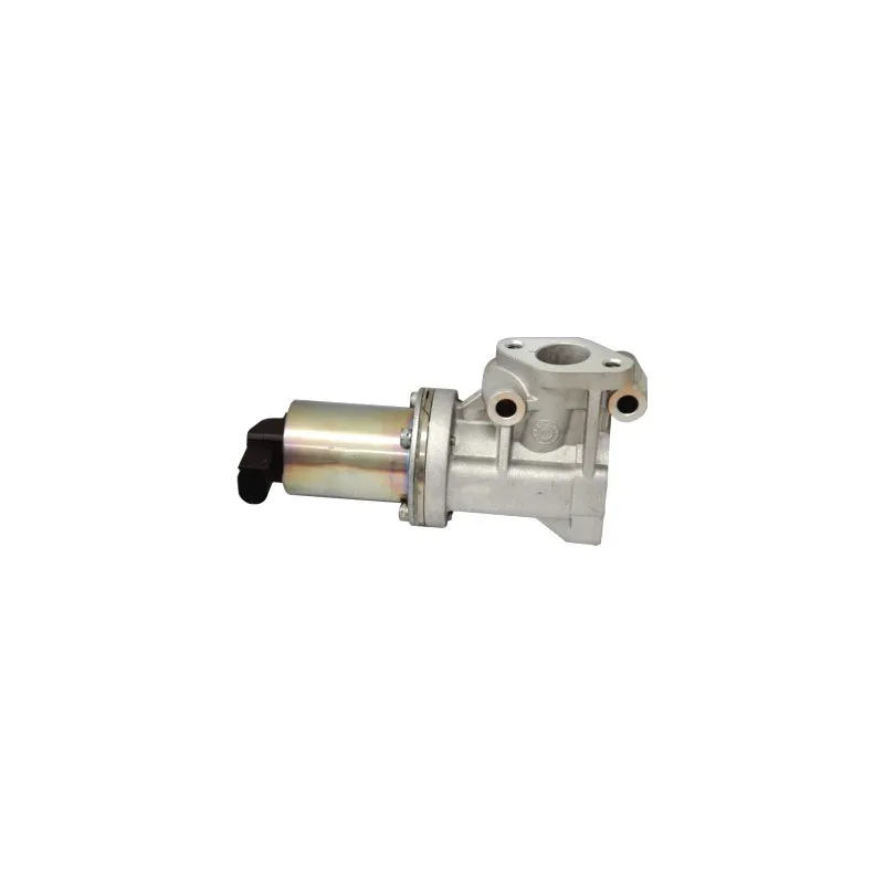 Vanne EGR MEAT & DORIA 88128E
