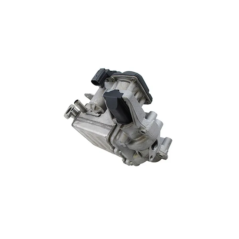 Module-EGR MEAT & DORIA 88378
