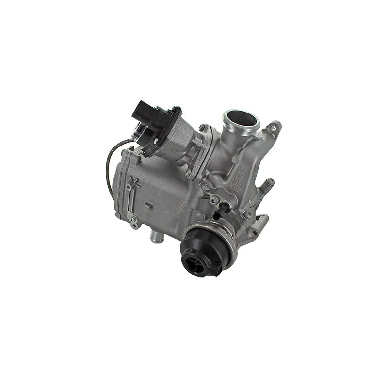 Module-EGR MEAT & DORIA 88481