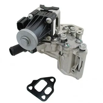 Module-EGR MEAT & DORIA 88752