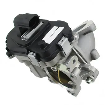 Corps papillon MEAT & DORIA