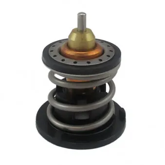 Thermostat d'eau MEAT & DORIA 92919