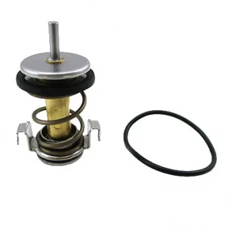 Thermostat d'eau MEAT & DORIA