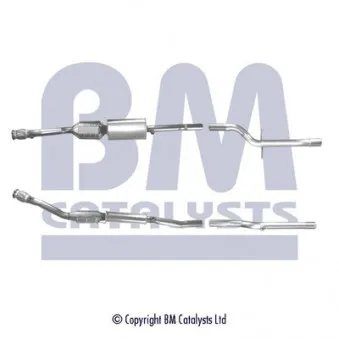 Catalyseur BM CATALYSTS BM91249H