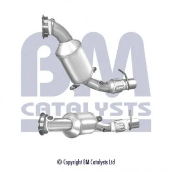 Catalyseur BM CATALYSTS BM92063H