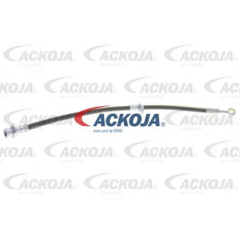 Flexible de frein avant droit ACKOJA A26-0366