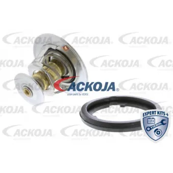 Thermostat d'eau ACKOJA A26-99-0008