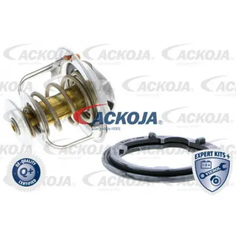 Thermostat d'eau ACKOJA A26-99-0009