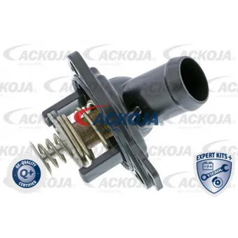 Thermostat d'eau ACKOJA A26-99-0013