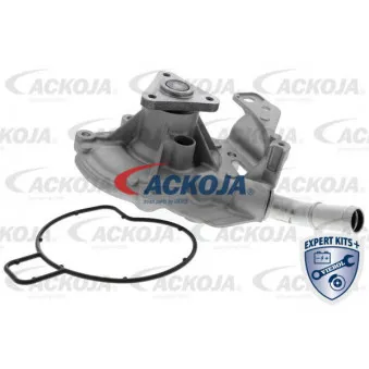 Pompe à eau ACKOJA A32-0700