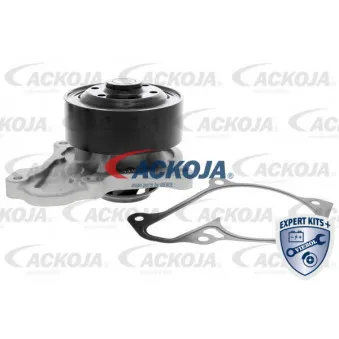 Pompe à eau ACKOJA A32-0701