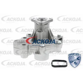 Pompe à eau ACKOJA A32-50014