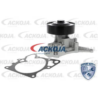 Pompe à eau ACKOJA A32-50015
