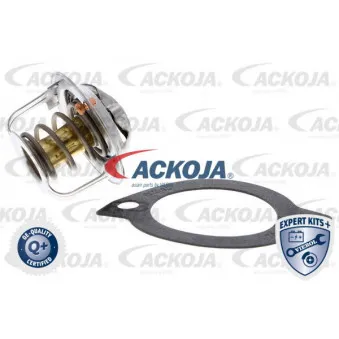 Thermostat d'eau ACKOJA A32-99-0004