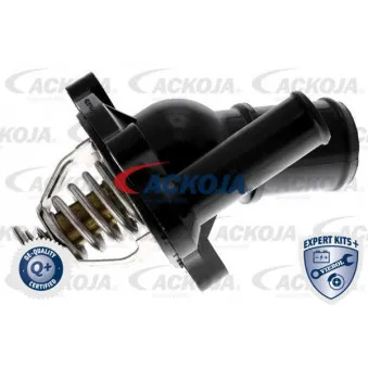 Thermostat d'eau ACKOJA A32-99-0005