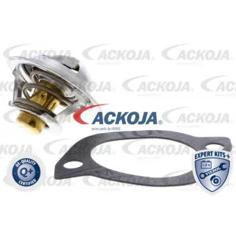 Thermostat d'eau ACKOJA A32-99-1701